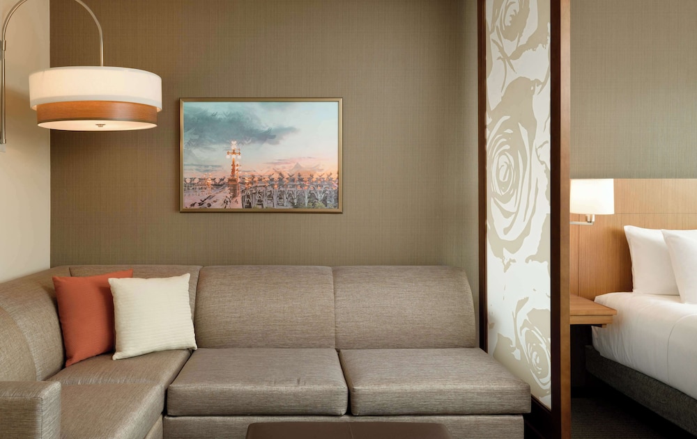 Suite, 1 King Bed with Sofa bed photo 1