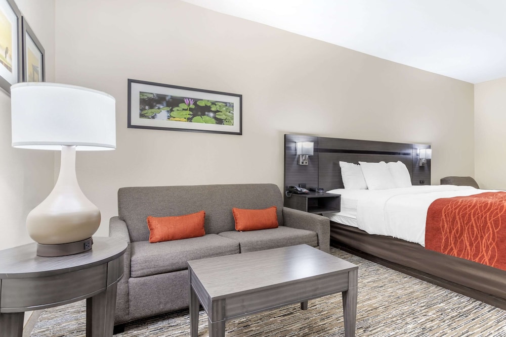 Standard Single Room, 1 King Bed, Non Smoking - Photo 7