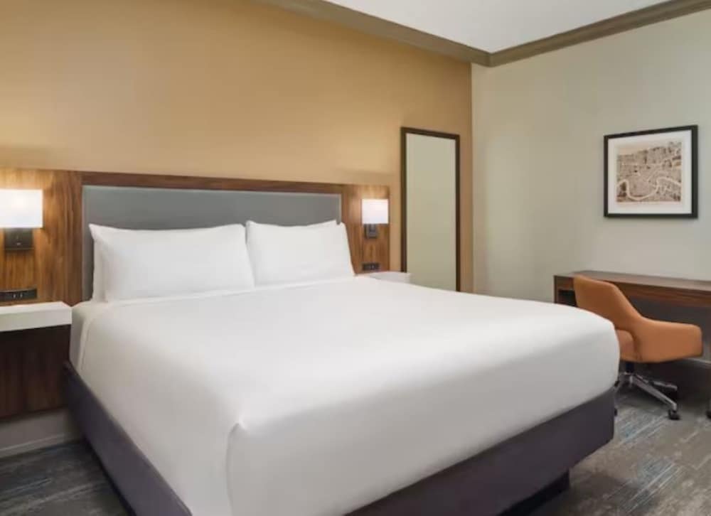 Suite, 1 King Bed, Accessible (3x3 Shower) - Photo 3