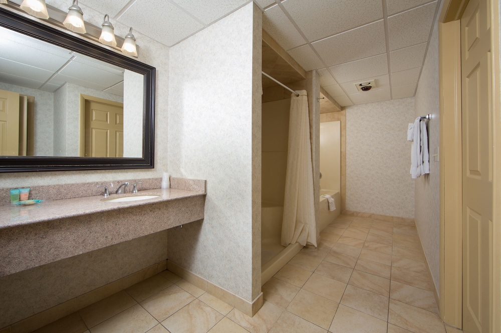Two Room Efficiency - Photo 4