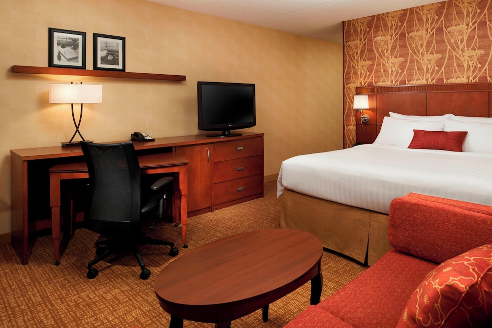 Room, 1 King Bed with Sofa bed (Mobility/Hearing Access, Roll-In Shwr)