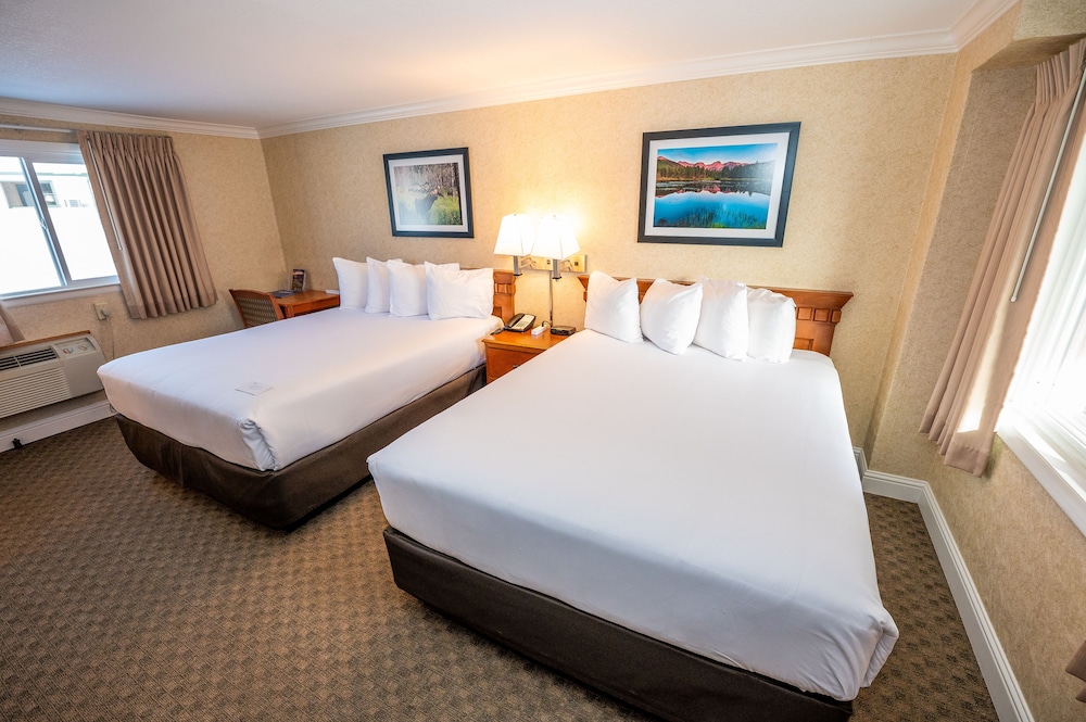 Standard Room, 2 Queen Beds, Refrigerator & Microwave - Photo 2