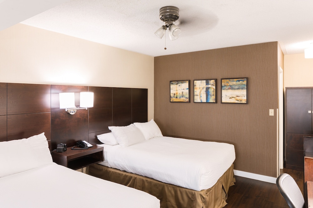 Suite - Photo 2