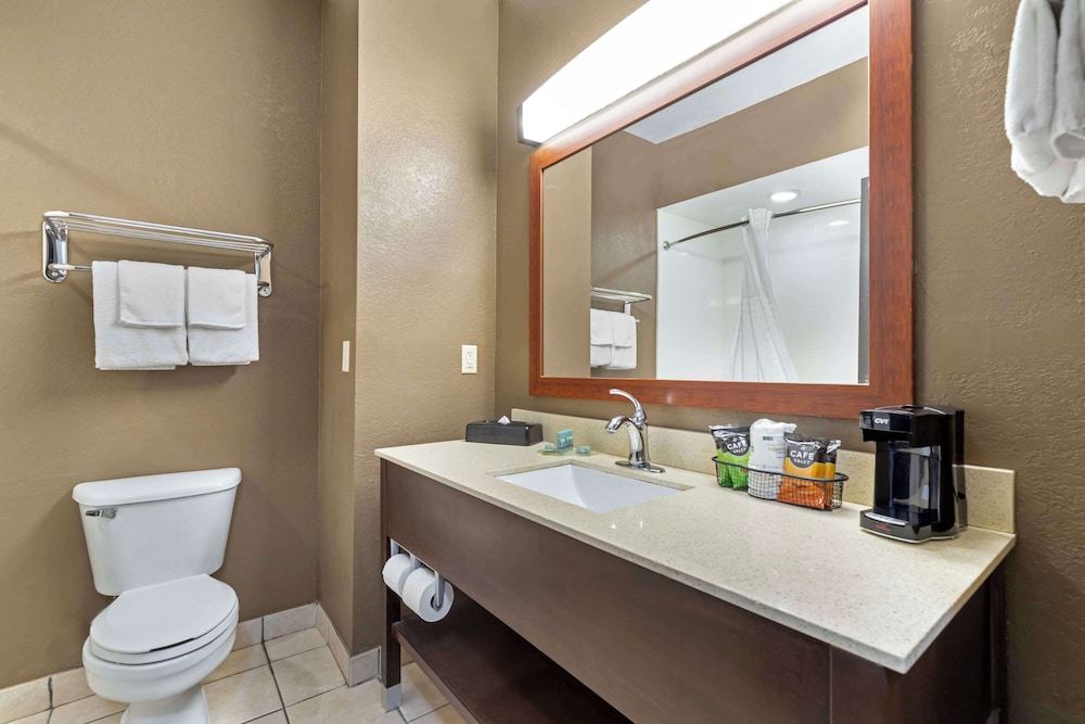 Standard Room, 1 King Bed, Non Smoking, Refrigerator & Microwave - Photo 4
