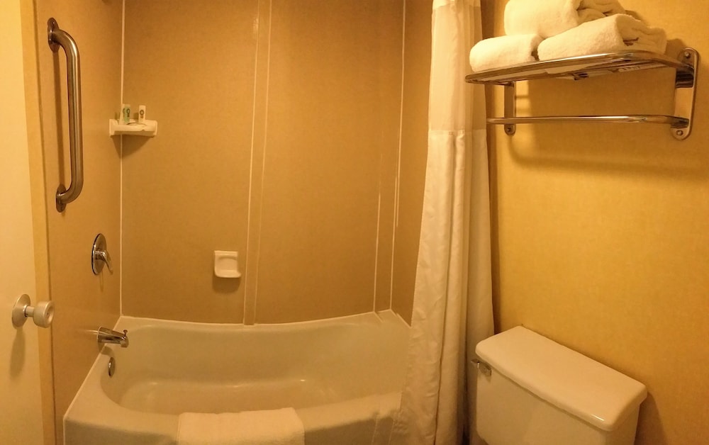 Executive Room, 2 Queen Beds, Non Smoking, Courtyard Area - Photo 8