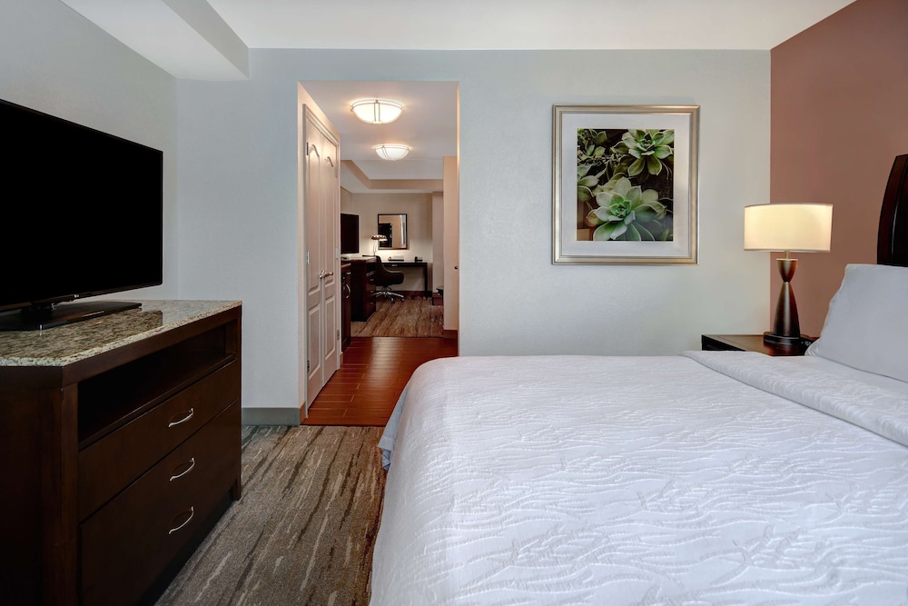 1 Bedroom Mini Suite, 1 King Bed and Sofa Bed - Photo 3