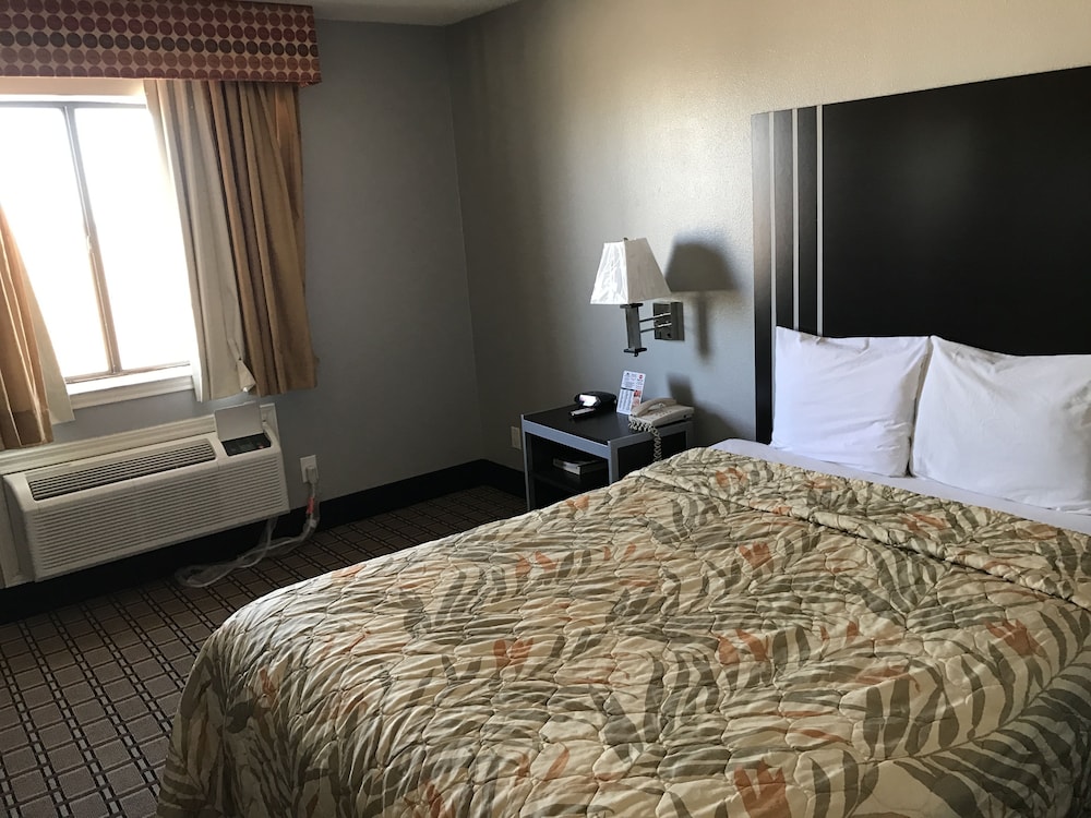 Standard Single Room, 1 King Bed