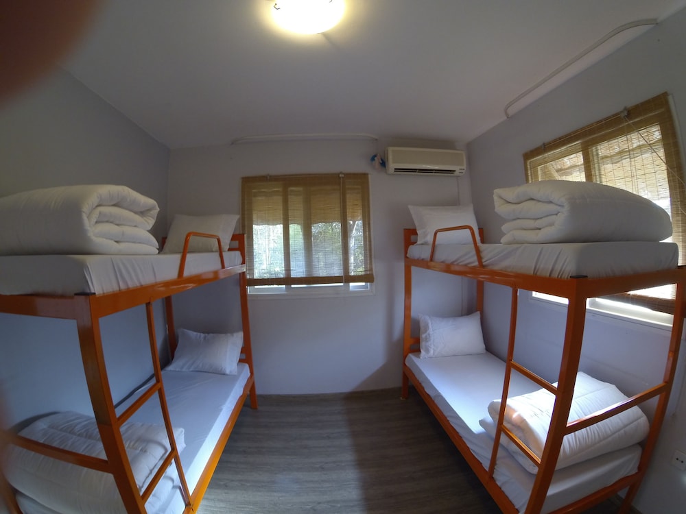 Basic Shared Dormitory, Women Only photo 1