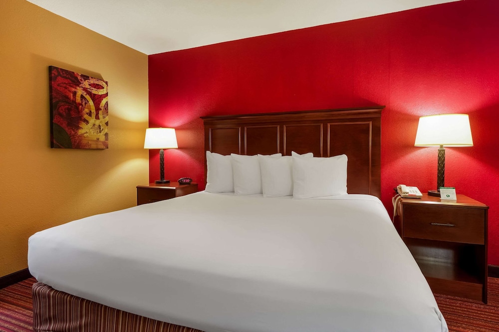 Standard Room, 1 King Bed, Non Smoking photo 3