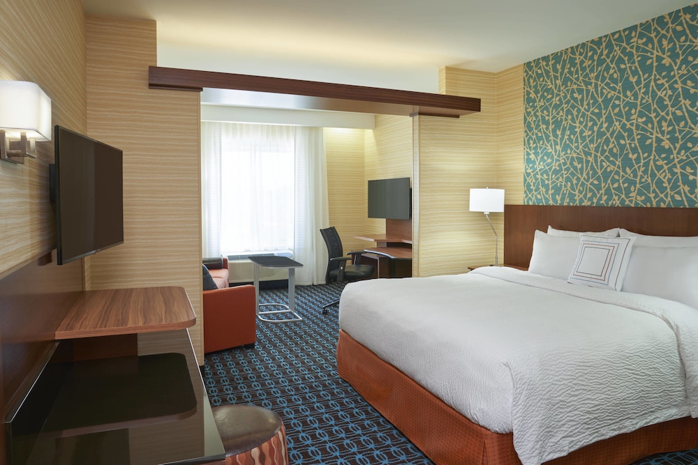Suite, 1 King Bed with Sofa bed photo 1