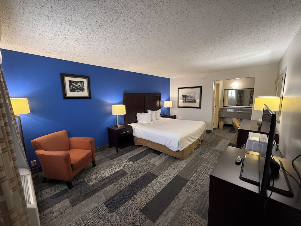 Single Room, 1 King Bed photo 2