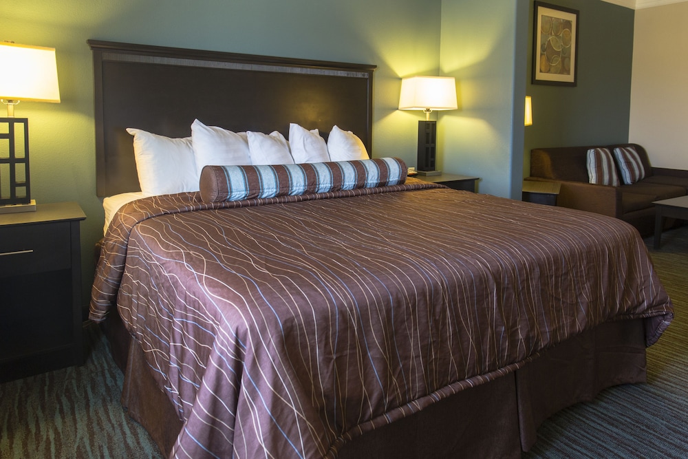 Studio Suite, 1 King Bed photo 3