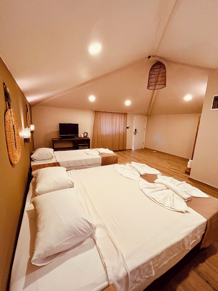 Classic Triple Room photo 3