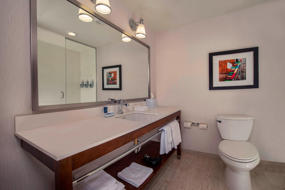Classic Room, 1 King Bed with Sofa bed, Hearing Accessible (Mobility/Hearing Access, Roll-In Shwr) - Photo 9