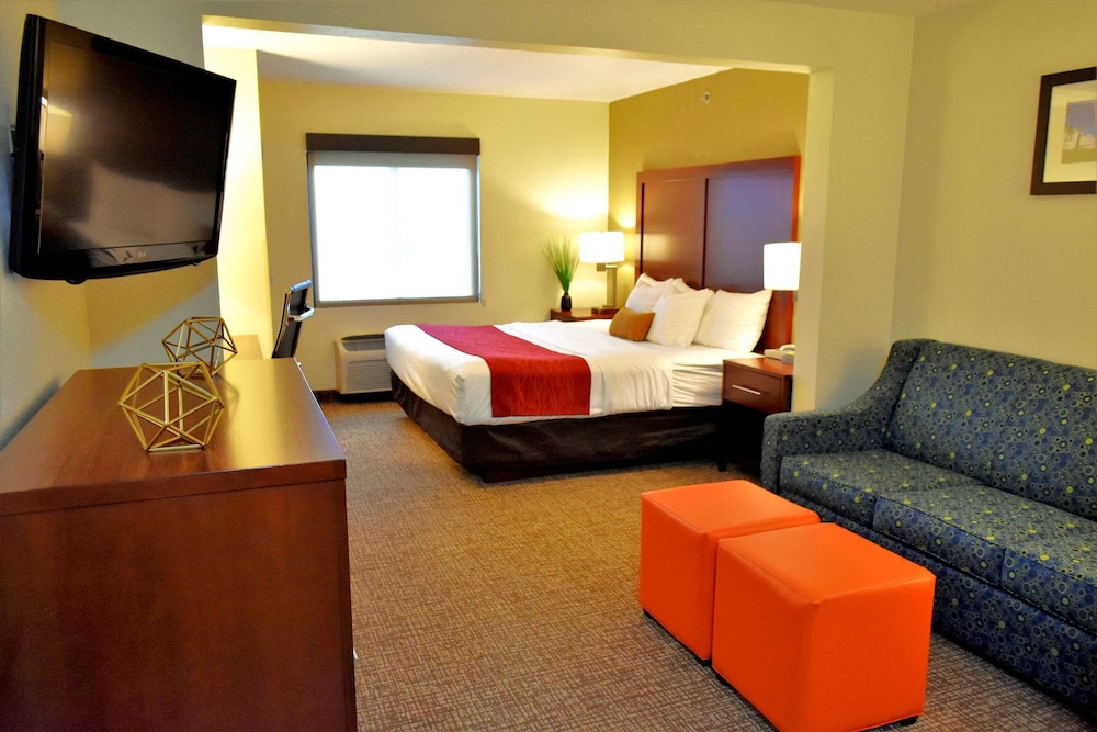 Suite, 1 King Bed with Sofa bed, Non Smoking - Photo 1