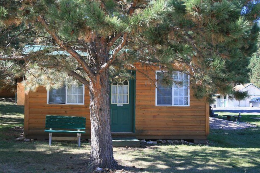 Deluxe Cabin, Multiple Beds, Refrigerator & Microwave (no bathroom in cabin, community bathroom) photo 1
