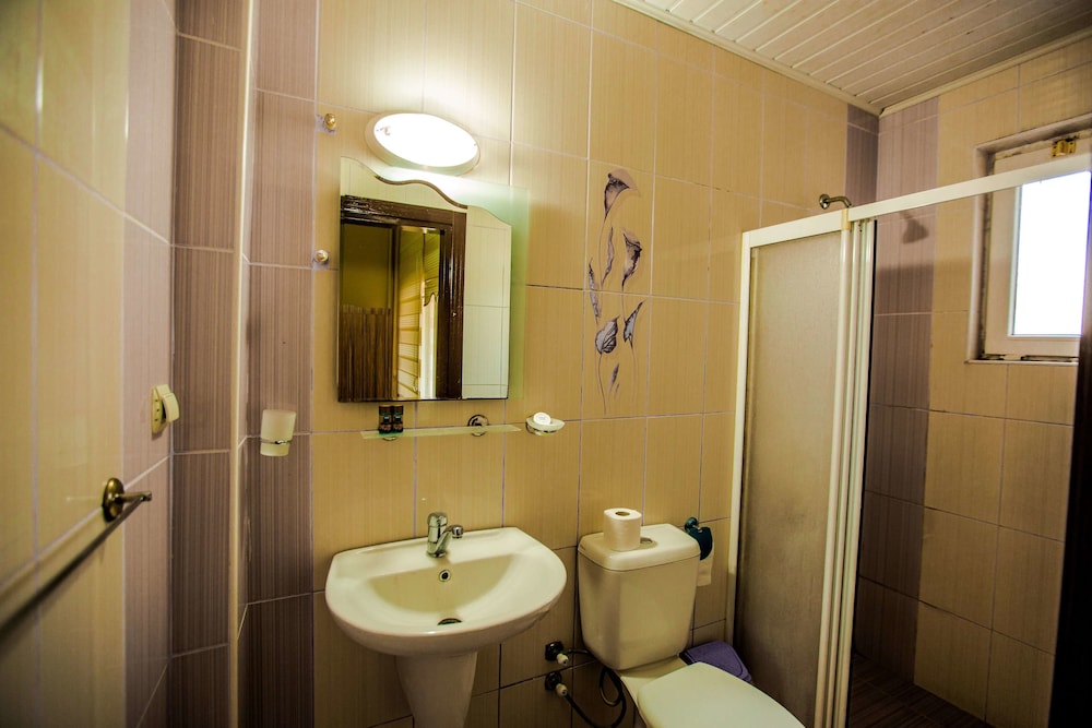 Standard Double or Twin Room photo 2