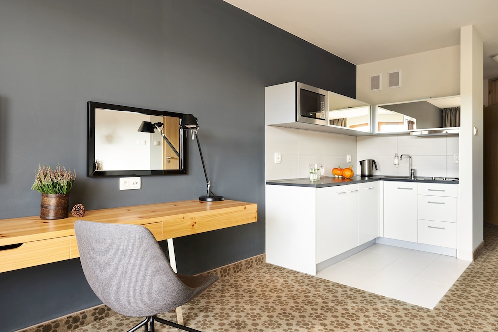 Standard Double Room, Kitchenette photo 3