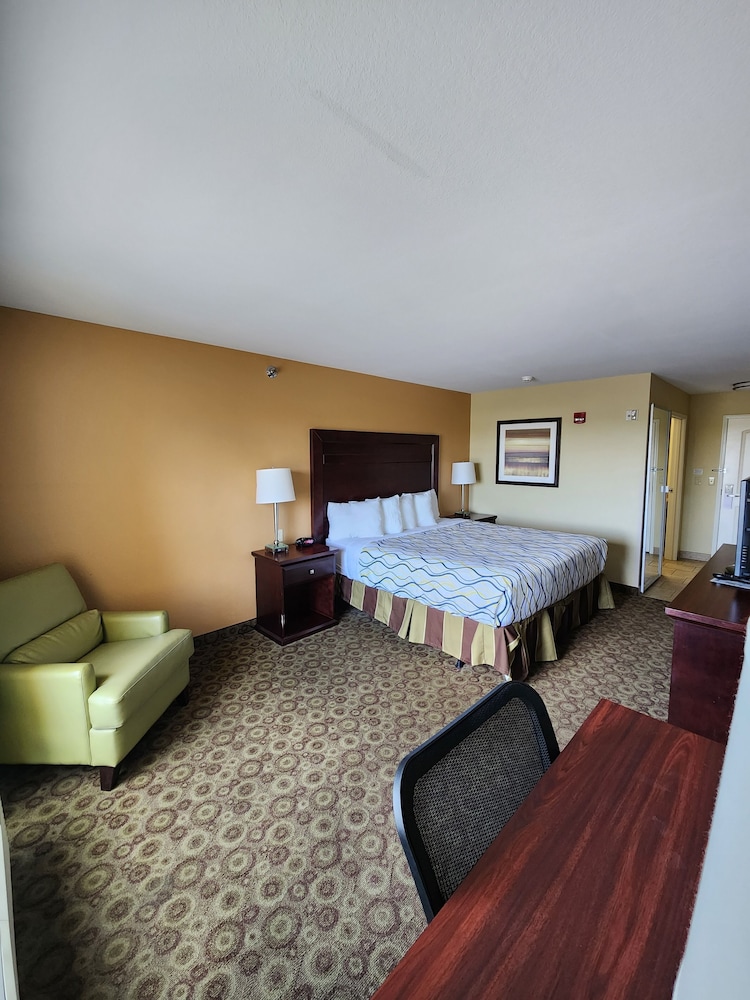 King Room - Photo 6