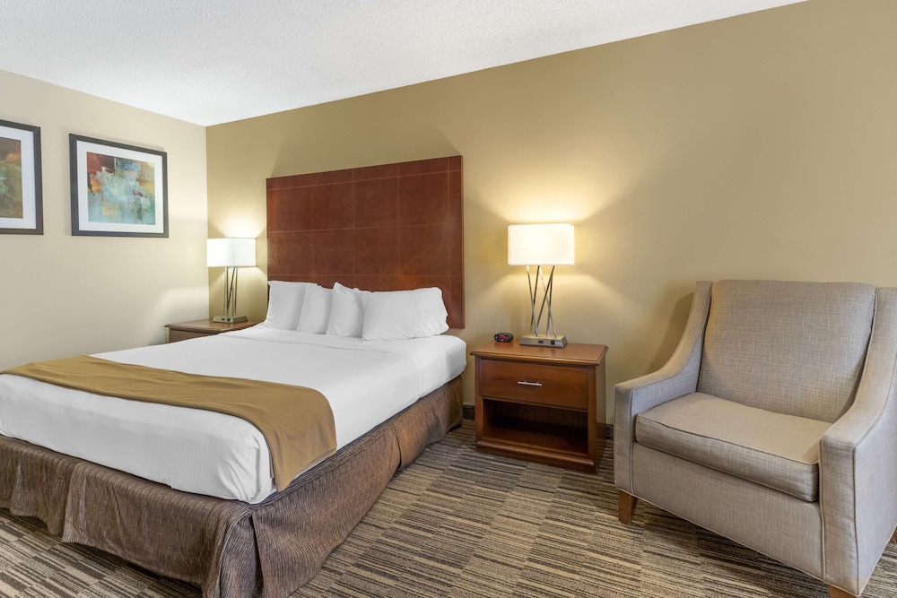 Standard Room, 1 King Bed, Non Smoking photo 3