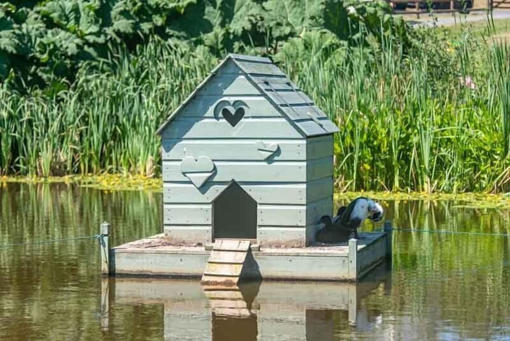 Frankaborough Farm Ferielejligheder, Billede 10