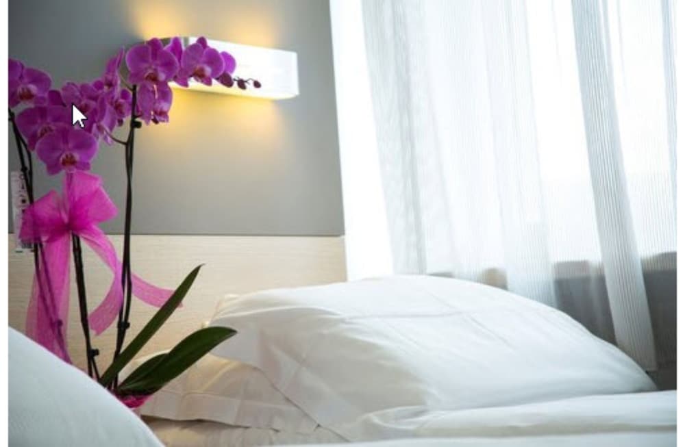 Superior Double or Twin Room photo 1