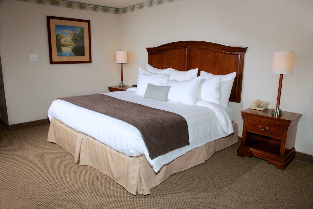 Deluxe Room, 1 King Bed with Sofa bed photo 2