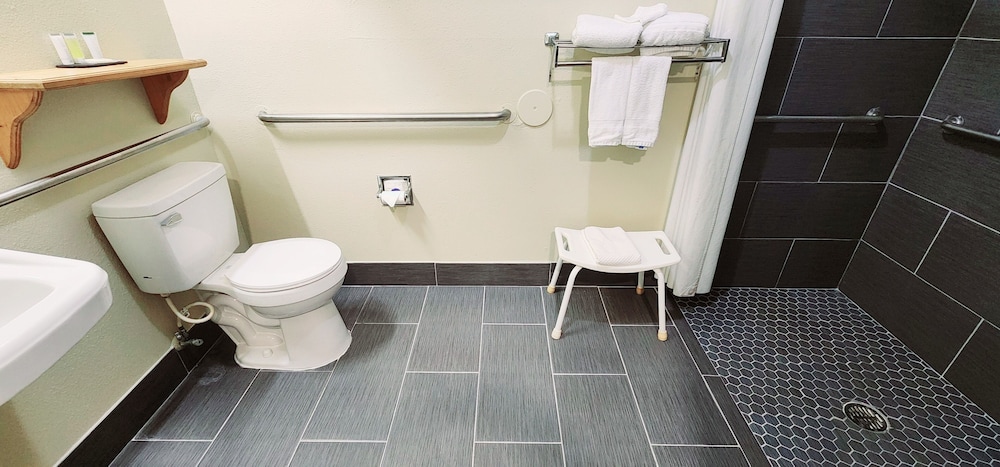 Room, 1 King Bed, Accessible, Non Smoking (Roll-In Shower) photo 3