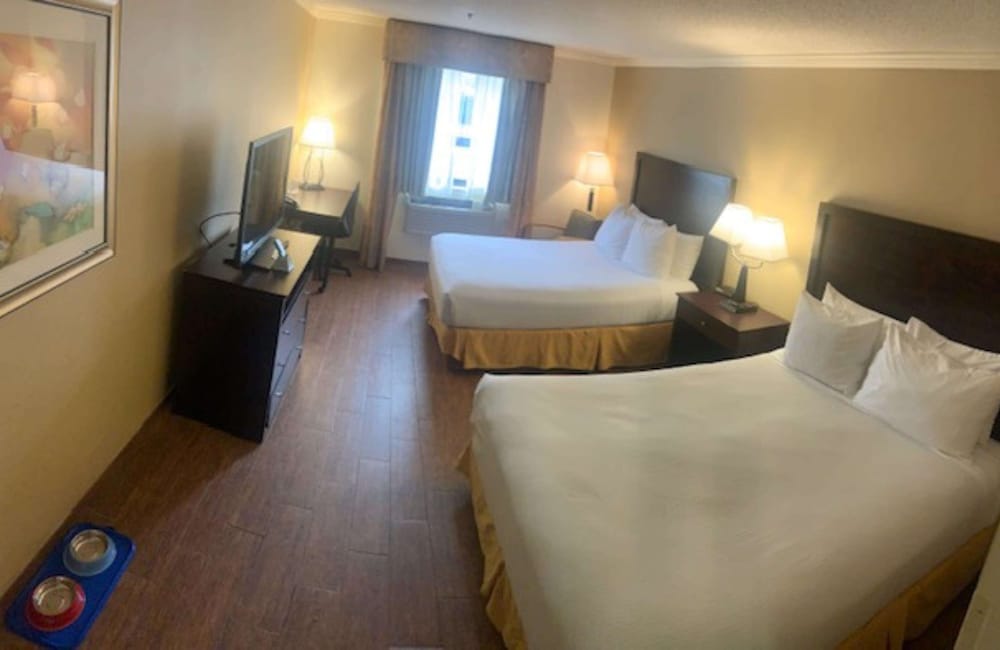 Standard Room, 2 Queen Beds, Non Smoking, Refrigerator (Pet Friendly) photo 2