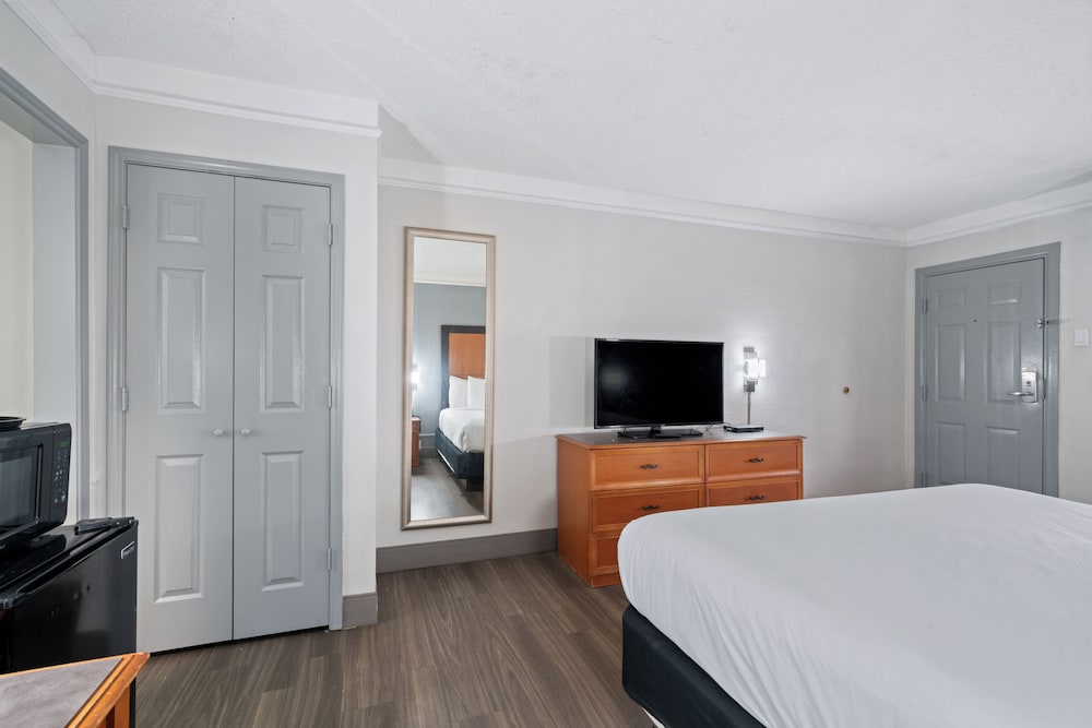 Room, 1 King Bed, Non Smoking photo 3