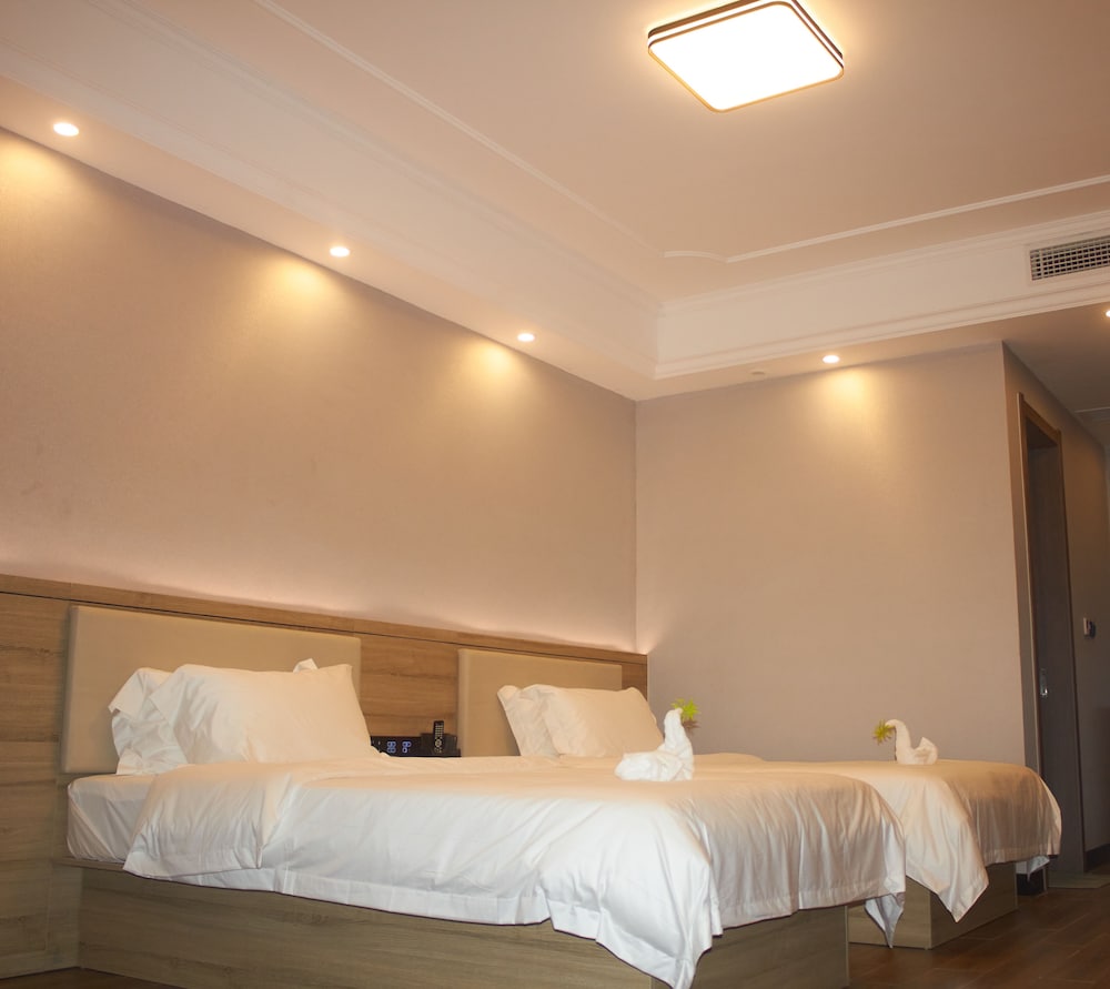 Deluxe Double or Twin Room photo 3