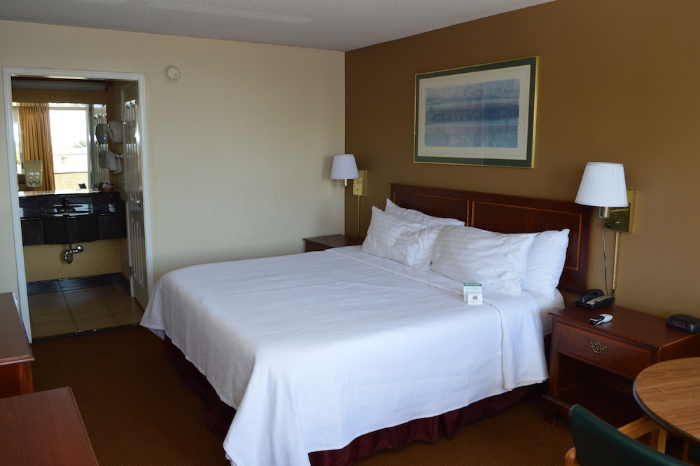 Deluxe Room, 1 King Bed, Smoking - Photo 1