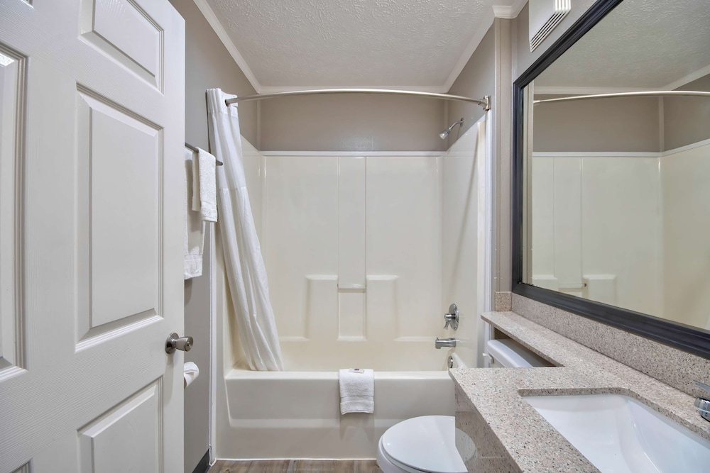Deluxe Room, 1 King Bed, Non Smoking, Refrigerator & Microwave photo 2