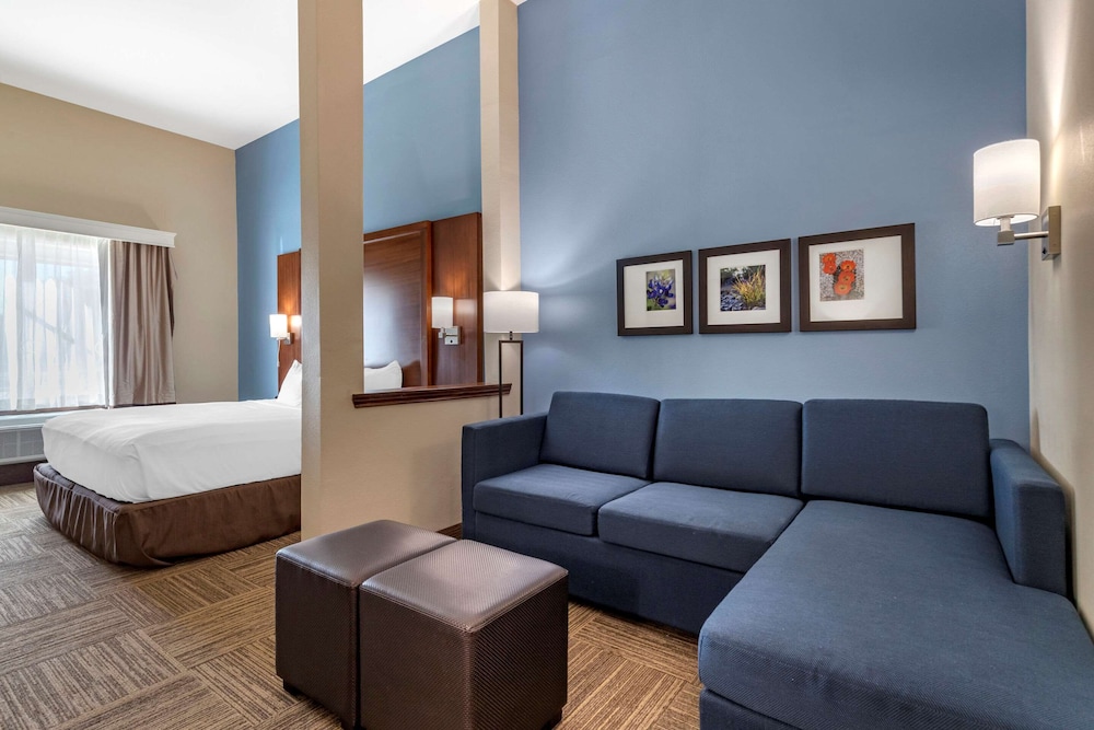 Suite, 1 King Bed with Sofa bed, Accessible, Non Smoking - Photo 1