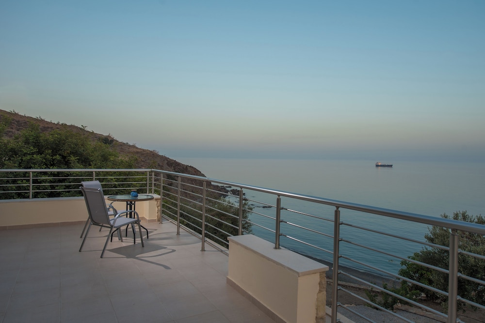 Deluxe Villa photo 2