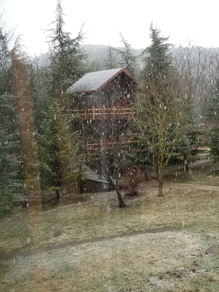 Family Tree House, 1 Bedroom, Balcony, Mountain View photo 2