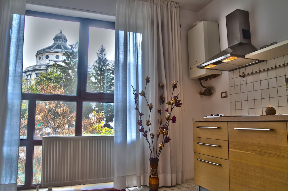 Studio, Kitchen, Garden View - Photo 15