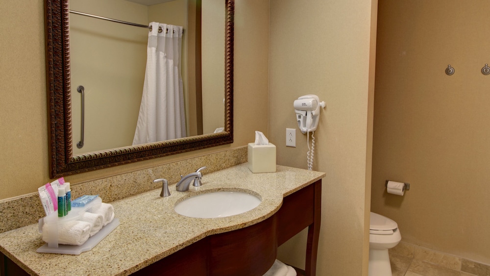 Suite, 1 King Bed, Accessible Bathtub (Mobility, Accessible Tub) photo 2