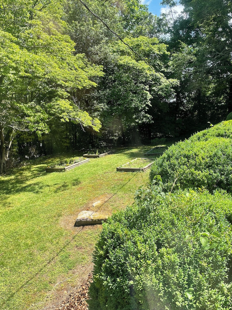 Garden View Room photo 2