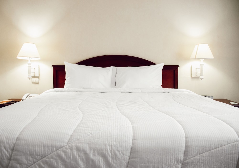 Executive Single Room, 1 King Bed photo 1