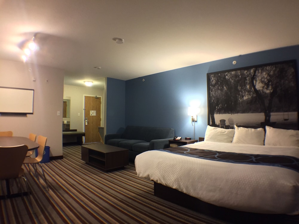 Business Room, 1 King Bed - Photo 2