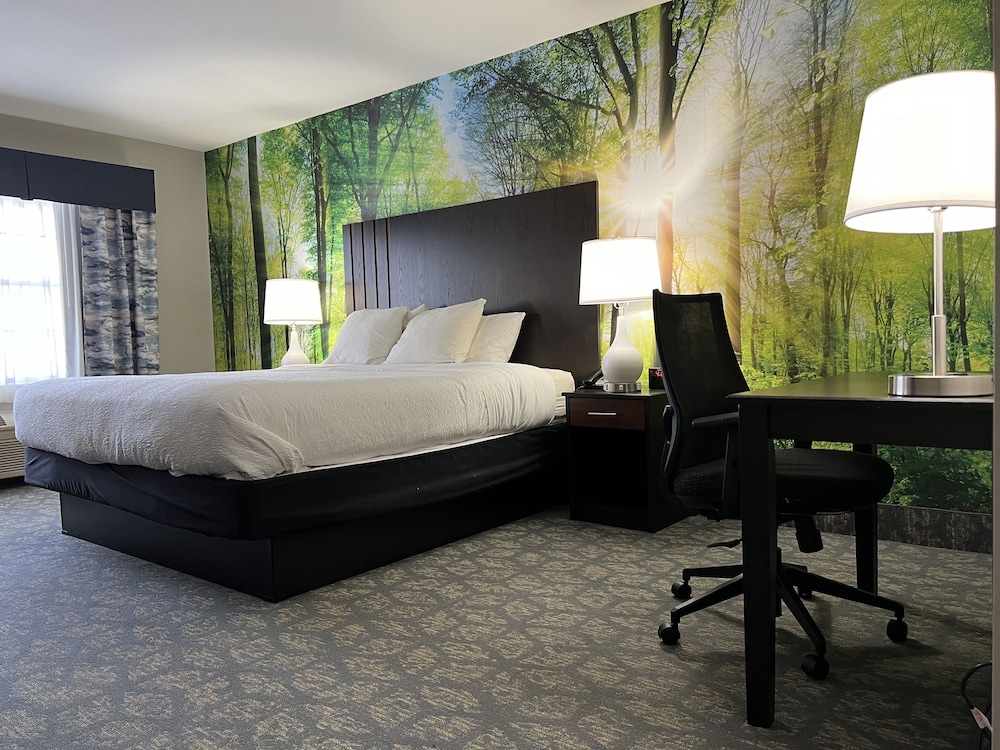Deluxe Single Room, 1 King Bed (Deluxe King) photo 3