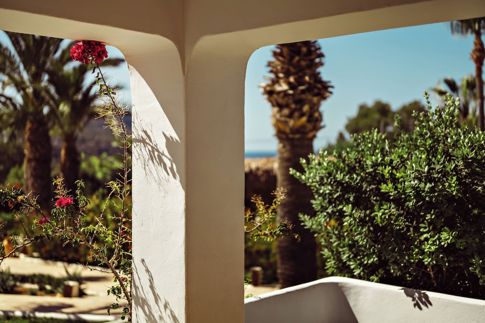 Suite (Hibiscus)