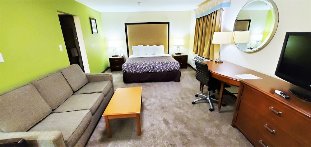 Suite, 1 King Bed with Sofa bed, Non Smoking photo 3