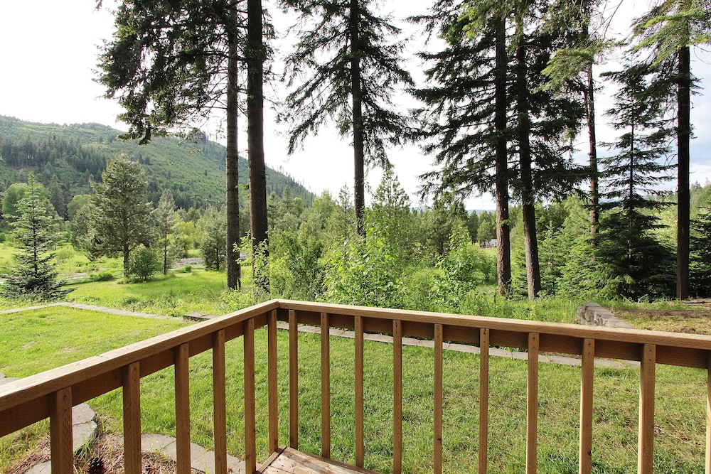 Ponderosa photo 3