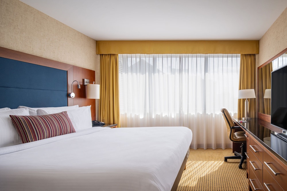 Executive Room, 1 King Bed photo 3