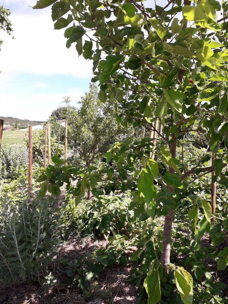 Romantic Cabin, Hot Tub (Cabane du Potager) photo 2
