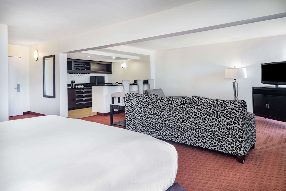 Premier Suite, 1 King Bed, Non Smoking photo 3