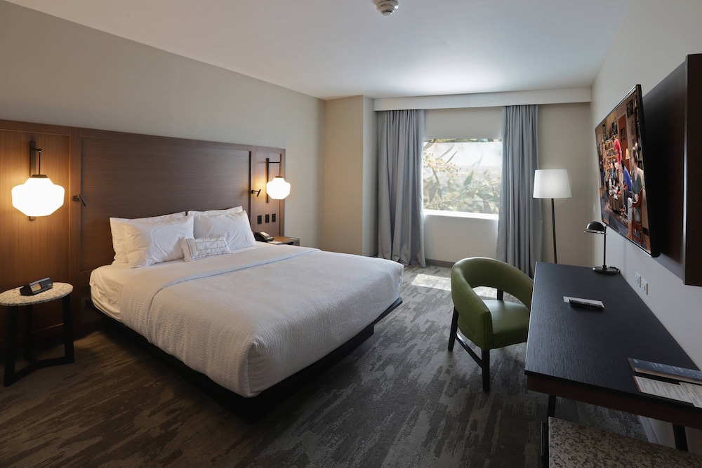 Room, 1 King Bed