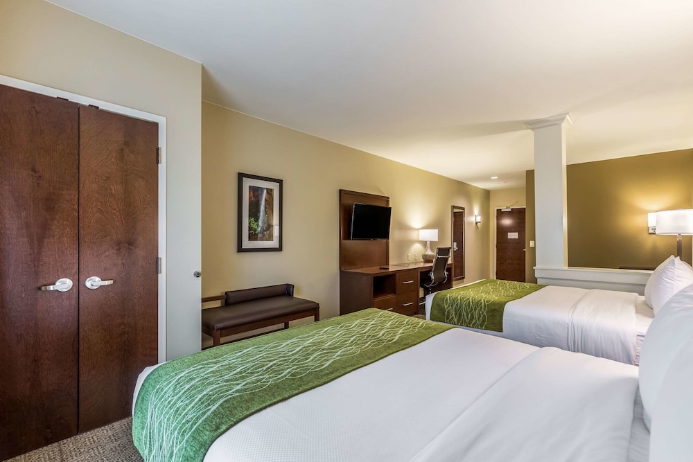 Suite, Multiple Beds, Non Smoking photo 3